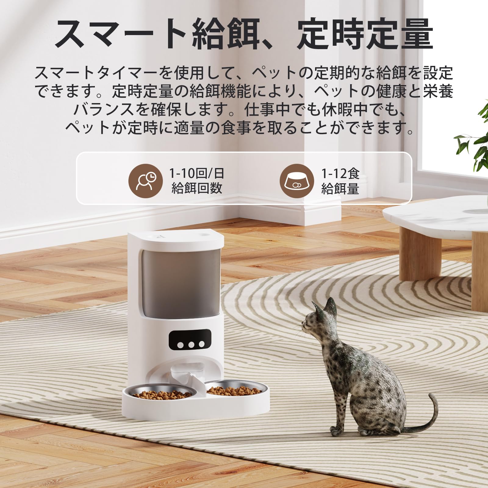 Amazon | 自動給餌器 猫 犬 自動餌やり機 2匹対応 タイマー機能